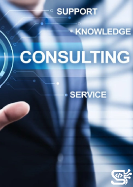 Technical Consulting